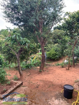 CASA A VENDA NO BELA VISTA 