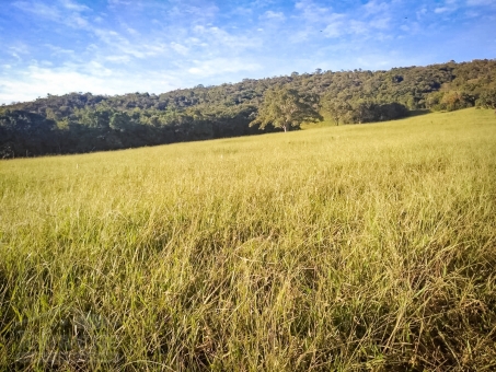 Fazenda em S&atilde;o Jo&atilde;o Batista do Gl&oacute;ria