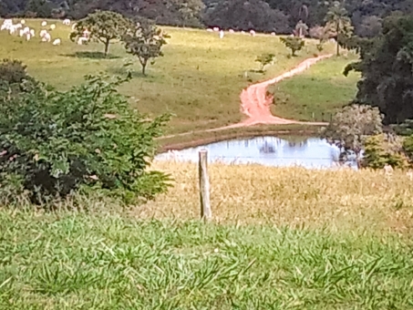 Fazenda em S&atilde;o Jo&atilde;o Batista do Gl&oacute;ria