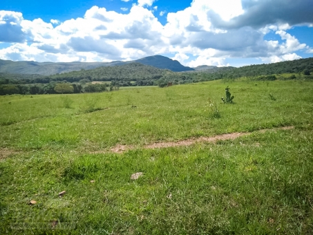 Fazenda em S&atilde;o Jo&atilde;o Batista do Gl&oacute;ria