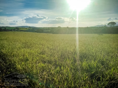 Fazenda em S&atilde;o Jo&atilde;o Batista do Gl&oacute;ria
