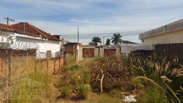 LOTE CENTRAL 