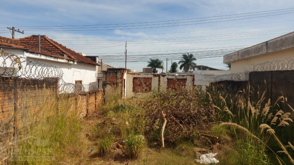 LOTE CENTRAL 