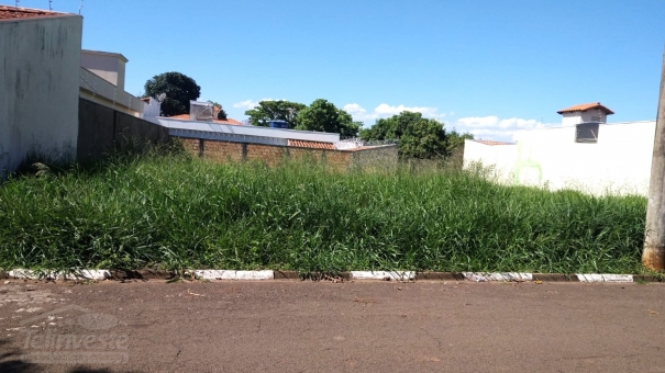 2 LOTES PLANOS NO NOVO MUNDO 