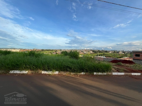 Lotes na Av. - bairro Nova Passos