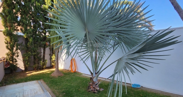 Casa - Bairro Muarama