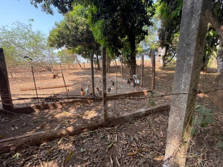 Sitio na linha do Bananal 
