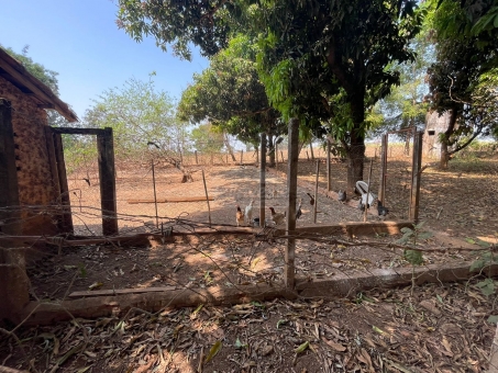 Sitio na linha do Bananal 