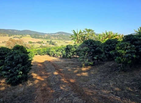 OPORTUNIDADE IM&Oacute;VEL RURAL 