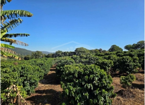 OPORTUNIDADE IM&Oacute;VEL RURAL 