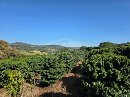 OPORTUNIDADE IM&Oacute;VEL RURAL 