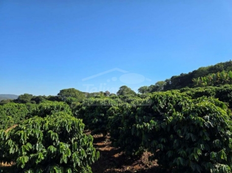 OPORTUNIDADE IM&Oacute;VEL RURAL 