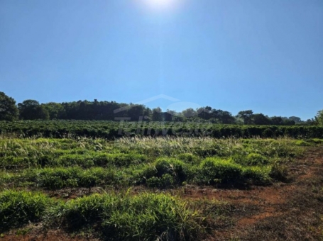 OPORTUNIDADE IM&Oacute;VEL RURAL 