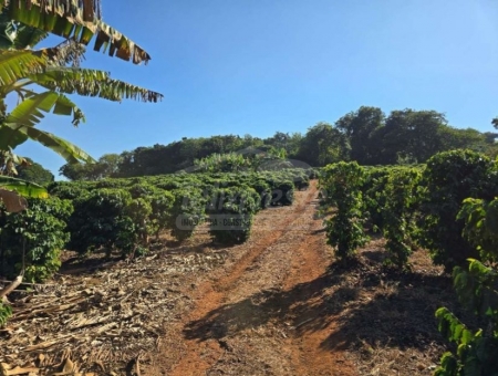 OPORTUNIDADE IM&Oacute;VEL RURAL 