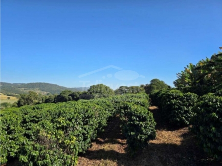 OPORTUNIDADE IM&Oacute;VEL RURAL 