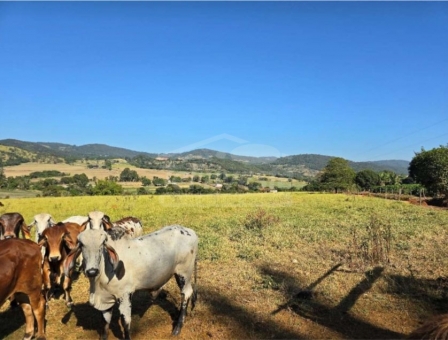 OPORTUNIDADE IM&Oacute;VEL RURAL 