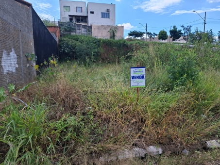 LOTE NO VILA RICA