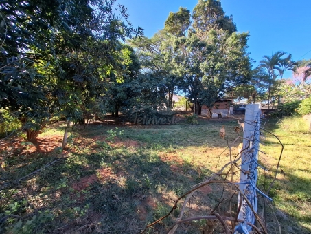 LOTE NO CONDOM&Iacute;NIO DOS YPES