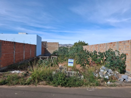 LOTE NO BAIRRO MARIA E VADICO