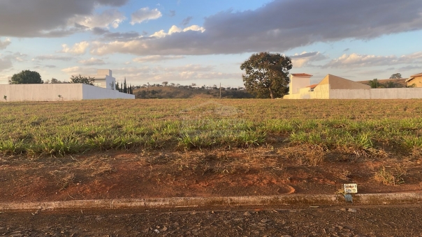 LOTE DE OPORTUNIUDADE 