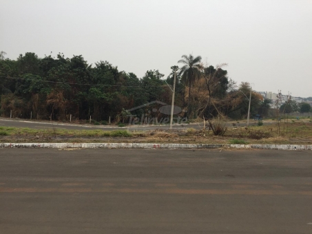 OPORTUNIDADE DE LOTE- CANTO VERDE