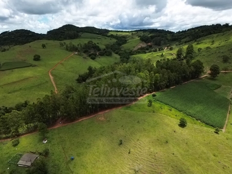 &Aacute;REA RURAL - 3.7 HECTARES - MUMBUCA