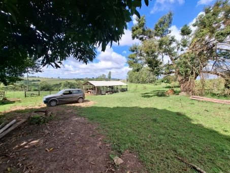 SITIO NA LINHA DO BANANAL