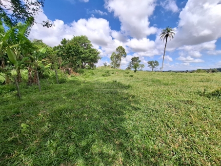 SITIO NA LINHA DO BANANAL