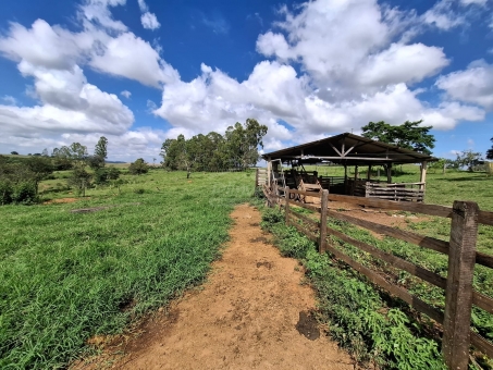 SITIO NA LINHA DO BANANAL