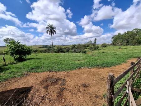 SITIO NA LINHA DO BANANAL