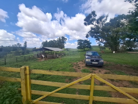 SITIO NA LINHA DO BANANAL
