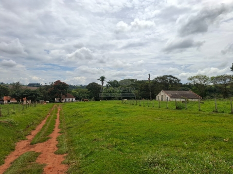 BEL&Iacute;SSIMA FAZENDA NA LINHA DO BANANAL