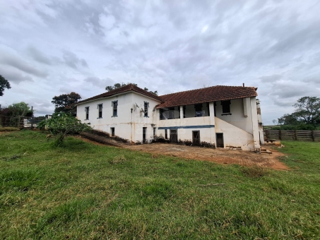 BEL&Iacute;SSIMA FAZENDA NA LINHA DO BANANAL