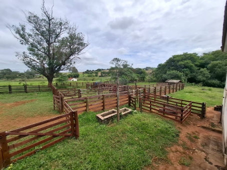 BEL&Iacute;SSIMA FAZENDA NA LINHA DO BANANAL