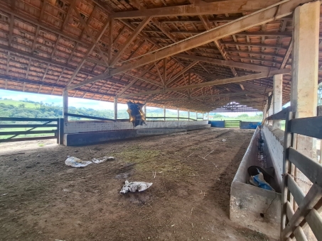 BEL&Iacute;SSIMA FAZENDA NA LINHA DO BANANAL