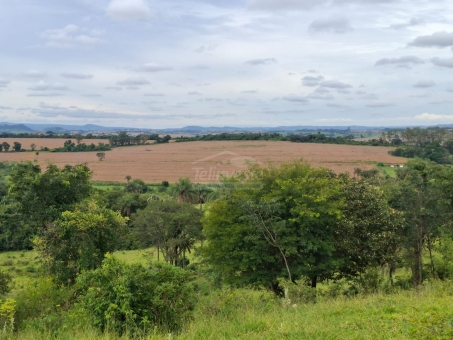 BEL&Iacute;SSIMA FAZENDA NA LINHA DO BANANAL