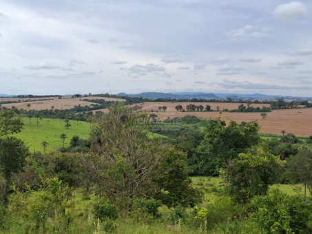 BEL&Iacute;SSIMA FAZENDA NA LINHA DO BANANAL