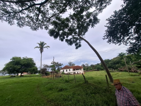 BEL&Iacute;SSIMA FAZENDA NA LINHA DO BANANAL