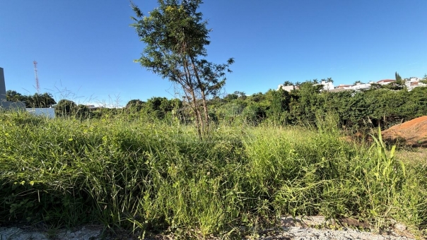 OPORTUNIDADE DE LOTE- AVENIDA JUPTER