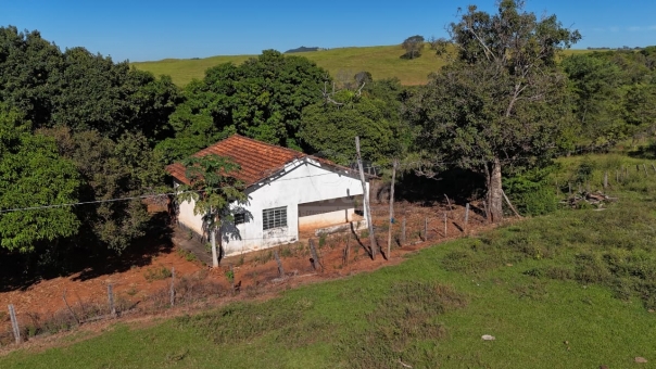 FAZENDA A VENDA 