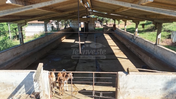 FAZENDA A VENDA 