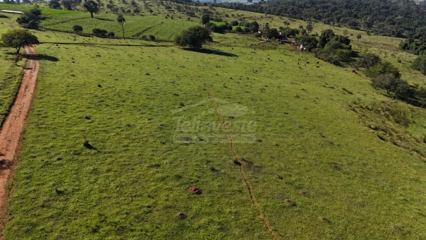 FAZENDA A VENDA 