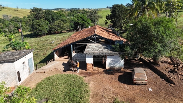 FAZENDA A VENDA 