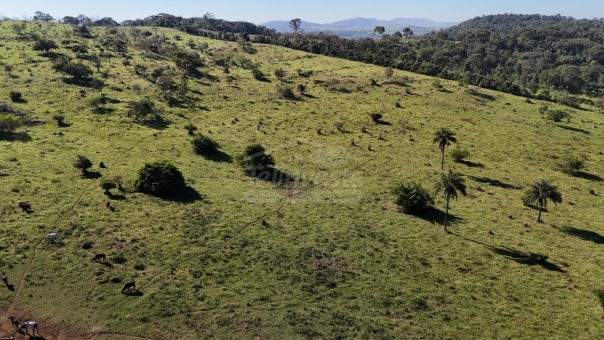FAZENDA A VENDA 