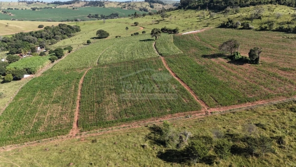 FAZENDA A VENDA 
