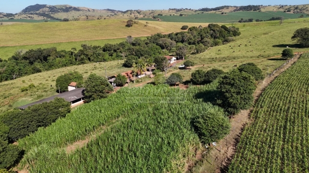 FAZENDA A VENDA 