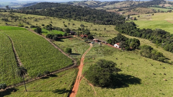 FAZENDA A VENDA 