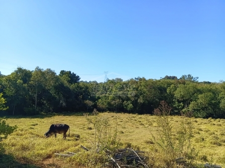 CHACARA EM PASSOS/ BOM JESUS