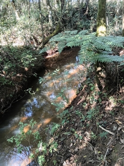 CHACARA EM PASSOS/ BOM JESUS