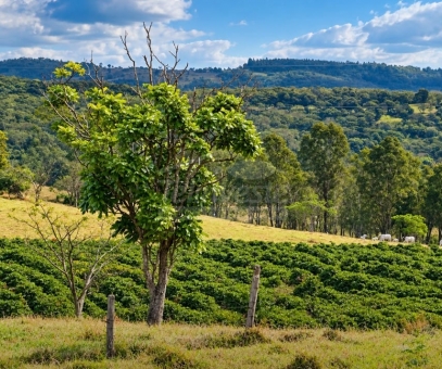 SITIO A VENDA EM PASSOS